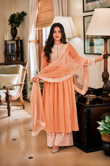 Designer elegant shade coding work party wear dress